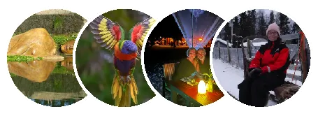 Avis des clients des petits travaux à domicile